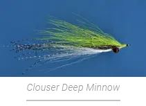 2020 02 Feb - Feb 8th - Clouser Deep Minnow (titled)